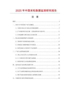 2025年中國呆輪數(shù)據(jù)監(jiān)測研究報(bào)告