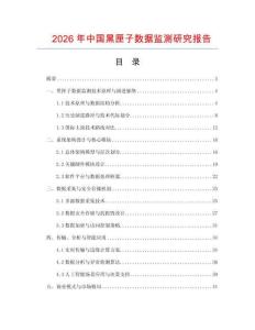2026年中国黑匣子数据监测研究报告