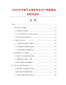 2026年中國平頭黑色特長內(nèi)六角數(shù)據(jù)監(jiān)測研究報告