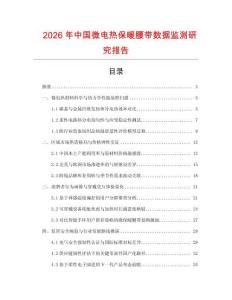 2026年中國微電熱保暖腰帶數據監測研究報告