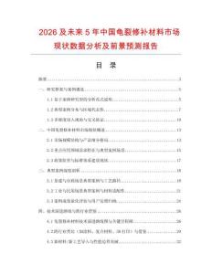 2026及未來5年中國龜裂修補材料市場現(xiàn)狀數(shù)據(jù)分析及前景預測報告