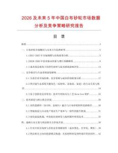 2026及未來5年中國白布砂輪市場數據分析及競爭策略研究報告