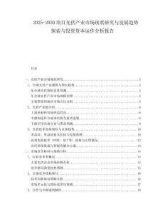 2025-2030項(xiàng)目光伏產(chǎn)業(yè)市場現(xiàn)狀研究與發(fā)展趨勢探索與投資資本運(yùn)作分析報(bào)告