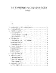 2025-2030橡膠輪胎回收利用交付標準市場競爭規(guī)劃報告