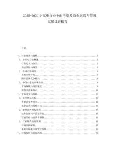 2025-2030小家電行業(yè)全面考察及商業(yè)運(yùn)營(yíng)與管理發(fā)展計(jì)劃報(bào)告