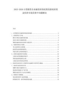 2025-2030小型微型企業(yè)融資擔(dān)保政策創(chuàng)新政府資金扶持市場發(fā)展中問題解決