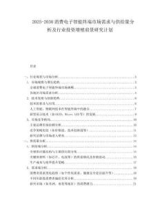 2025-2030消費(fèi)電子智能終端市場(chǎng)需求與供給量分析及行業(yè)投資增殖前景研究計(jì)劃