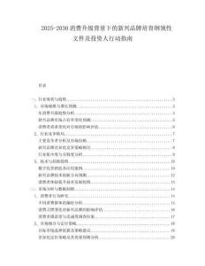 2025-2030消費升級背景下的新興品牌培育綱領(lǐng)性文件及投資人行動指南