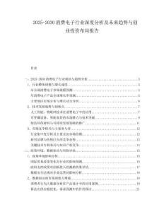 2025-2030消費(fèi)電子行業(yè)深度分析及未來趨勢與創(chuàng)業(yè)投資布局報(bào)告
