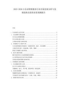 2025-2030小企業(yè)財(cái)稅服務(wù)行業(yè)市場發(fā)展分析與發(fā)展趨勢及投資前景預(yù)測報(bào)告
