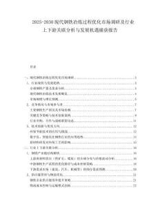 2025-2030現(xiàn)代鋼鐵冶煉過程優(yōu)化市場調(diào)研及行業(yè)上下游關聯(lián)分析與發(fā)展機遇捕獲報告
