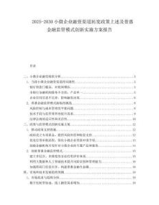 2025-2030小微企業(yè)融資渠道拓寬政策上述及普惠金融監(jiān)管模式創(chuàng)新實施方案報告