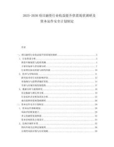 2025-2030項目融資行業(yè)收益提升供需現(xiàn)狀調(diào)研及資本運作安全計劃制定