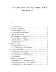 2025-2030顯示面板行業(yè)技術(shù)競(jìng)爭(zhēng)格局重大技術(shù)突破分析研究報(bào)告
