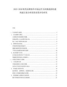 2025-2030鞋類品牌海外市場運作為何挑戰(zhàn)新機遇構建方案分析投資前景評估研究