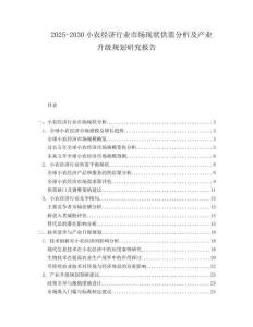 2025-2030小農(nóng)經(jīng)濟(jì)行業(yè)市場(chǎng)現(xiàn)狀供需分析及產(chǎn)業(yè)升級(jí)規(guī)劃研究報(bào)告