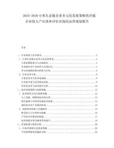 2025-2030小米生態(tài)鏈企業(yè)多元化發(fā)展策略供應(yīng)鏈企業(yè)投入產(chǎn)出效率評估市場化運(yùn)營規(guī)劃報告