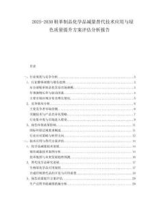 2025-2030鞋革制品化學(xué)品減量替代技術(shù)應(yīng)用與綠色質(zhì)量提升方案評(píng)估分析報(bào)告