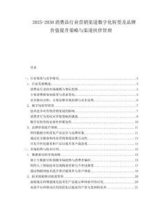 2025-2030消費(fèi)品行業(yè)營銷渠道數(shù)字化轉(zhuǎn)型及品牌價值提升策略與渠道伙伴管理