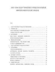 2025-2030先進(jìn)半導(dǎo)體存儲(chǔ)芯片制造企業(yè)市場供需調(diào)研投資風(fēng)險(xiǎn)評(píng)估發(fā)展方案論述