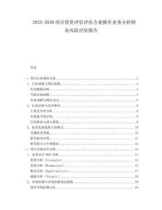 2025-2030項(xiàng)目投資評(píng)估評(píng)估方案操作業(yè)務(wù)分析財(cái)務(wù)風(fēng)險(xiǎn)評(píng)估報(bào)告