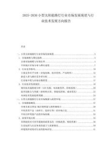 2025-2030小型太陽(yáng)能路燈行業(yè)市場(chǎng)發(fā)展現(xiàn)狀與行業(yè)技術(shù)發(fā)展方向報(bào)告