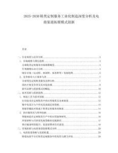 2025-2030鞋類定制服務(wù)工業(yè)化制造深度分析及電商渠道拓展模式創(chuàng)新