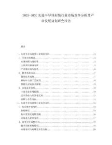 2025-2030先進(jìn)半導(dǎo)體封裝行業(yè)市場競爭分析及產(chǎn)業(yè)發(fā)展規(guī)劃研究報(bào)告