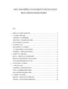 2025-2030消費(fèi)電子行業(yè)市場(chǎng)詳盡分析及行業(yè)競(jìng)爭(zhēng)格局與投資布局前景評(píng)估報(bào)告