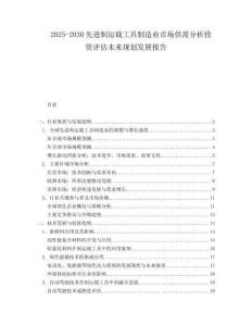 2025-2030先進制運載工具制造業(yè)市場供需分析投資評估未來規(guī)劃發(fā)展報告