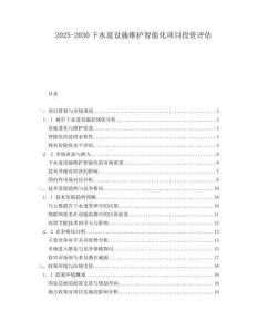 2025-2030下水道設(shè)施維護(hù)智能化項(xiàng)目投資評(píng)估