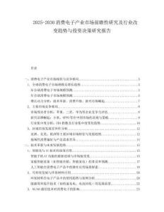 2025-2030消費電子產(chǎn)業(yè)市場前瞻性研究及行業(yè)改變趨勢與投資決策研究報告