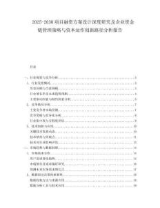 2025-2030項目融資方案設計深度研究及企業(yè)資金鏈管理策略與資本運作創(chuàng)新路徑分析報告