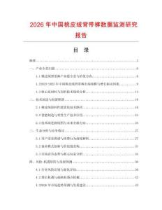 2026年中國桃皮絨背帶褲數據監測研究報告