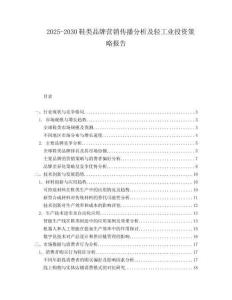 2025-2030鞋類品牌營銷傳播分析及輕工業(yè)投資策略報告