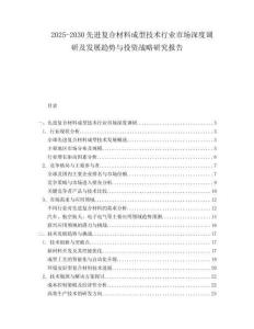 2025-2030先進(jìn)復(fù)合材料成型技術(shù)行業(yè)市場深度調(diào)研及發(fā)展趨勢與投資戰(zhàn)略研究報告