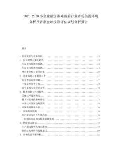 2025-2030小企業(yè)融資困難破解行業(yè)市場供需環(huán)境分析及普惠金融投資評估規(guī)劃分析報告