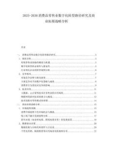 2025-2030消費(fèi)品零售業(yè)數(shù)字化轉(zhuǎn)型路徑研究及商業(yè)拓展戰(zhàn)略分析