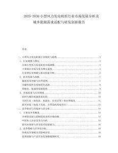 2025-2030小型風(fēng)力發(fā)電機(jī)組行業(yè)市場(chǎng)發(fā)展分析及城鄉(xiāng)能源需求適配與研發(fā)創(chuàng)新報(bào)告