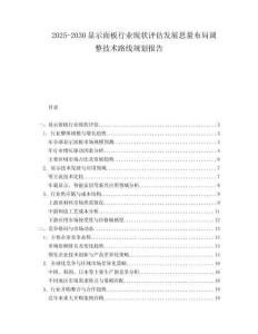2025-2030顯示面板行業(yè)現(xiàn)狀評估發(fā)展思量布局調(diào)整技術(shù)路線規(guī)劃報告