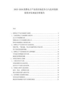 2025-2030消費(fèi)電子產(chǎn)品的市場(chǎng)競(jìng)爭(zhēng)力與技術(shù)創(chuàng)新投資評(píng)估規(guī)劃分析報(bào)告