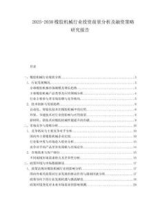2025-2030橡膠機械行業(yè)投資前景分析及融資策略研究報告