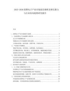 2025-2030消費電子產(chǎn)業(yè)市場前沿調(diào)研及增長潛力與行業(yè)布局趨勢研究報告