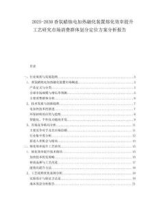 2025-2030香氛蠟燭電加熱融化裝置熔化效率提升工藝研究市場消費群體劃分定位方案分析報告