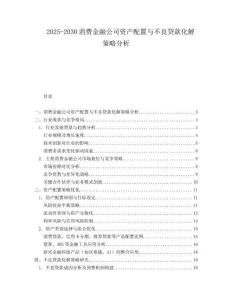 2025-2030消費(fèi)金融公司資產(chǎn)配置與不良貸款化解策略分析