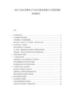 2025-2030消費電子行業(yè)市場發(fā)展?jié)摿εc投資策略深度報告