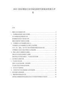 2025-2030橡膠行業(yè)市場(chǎng)發(fā)展研究探索深度報(bào)告評(píng)估