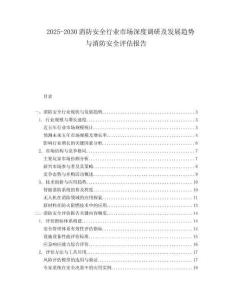 2025-2030消防安全行業(yè)市場深度調(diào)研及發(fā)展趨勢與消防安全評估報告