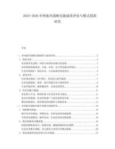 2025-2030鄉(xiāng)村振興戰(zhàn)略實(shí)施成效評(píng)估與模式創(chuàng)新研究
