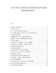 2025-2030小眾經(jīng)濟(jì)行業(yè)風(fēng)險(xiǎn)投資布局分析及投資融資策略研究報(bào)告